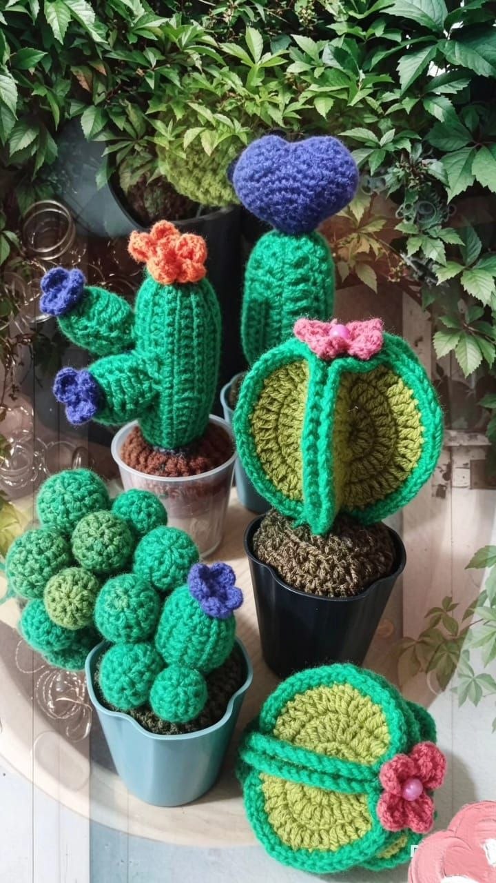 Cactus tejido en maceta